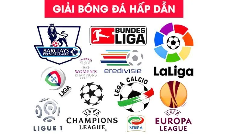 Livescore cập nhật hàng trăm giải khu vực, quốc tế, xem kết quả mọi lúc mọi nơi